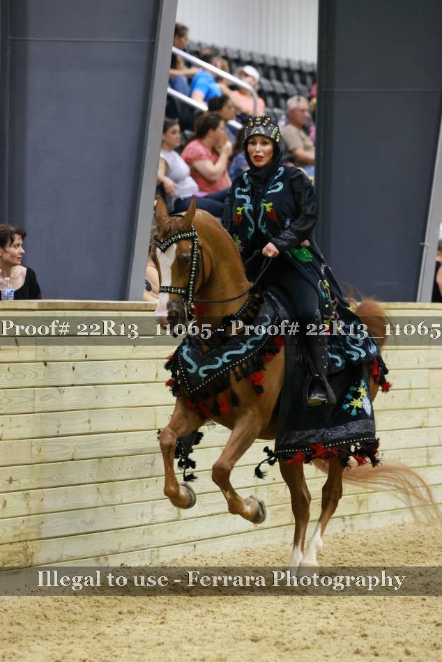 Proof 22R13_11065
