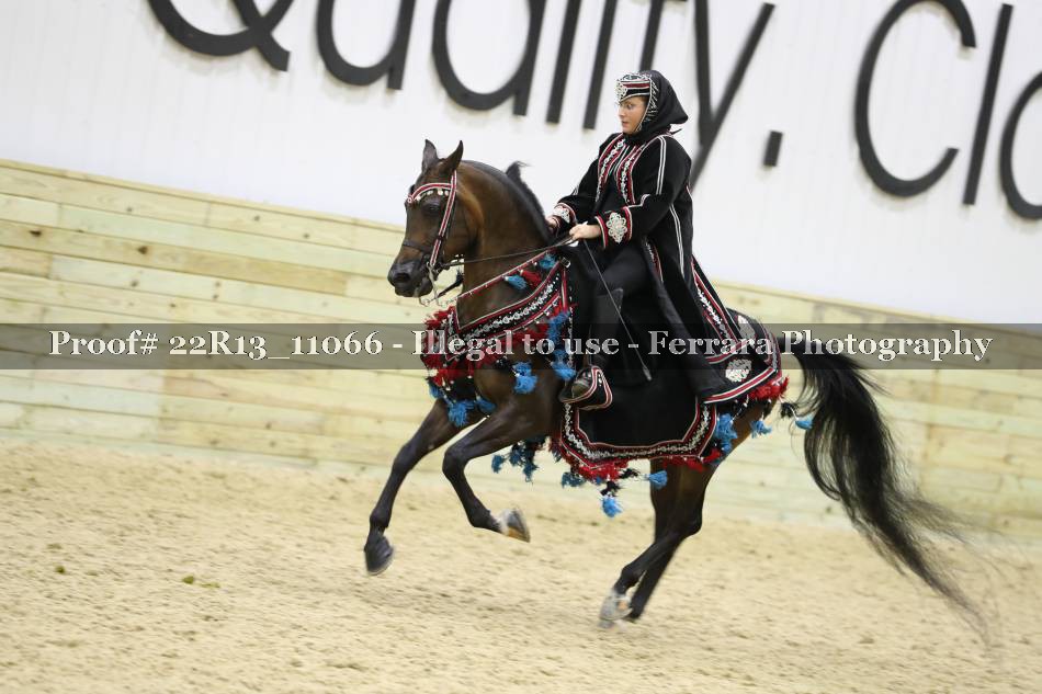 Proof 22R13_11066