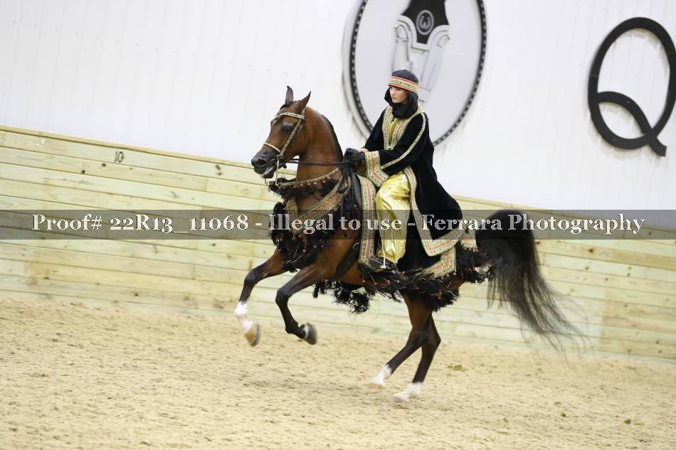 Proof 22R13_11068
