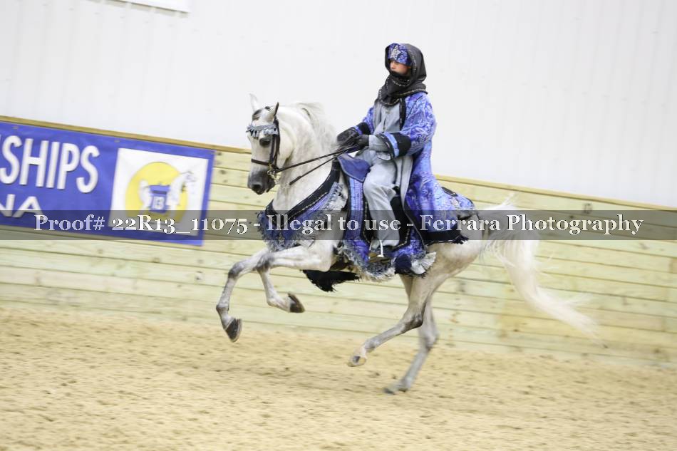 Proof 22R13_11075