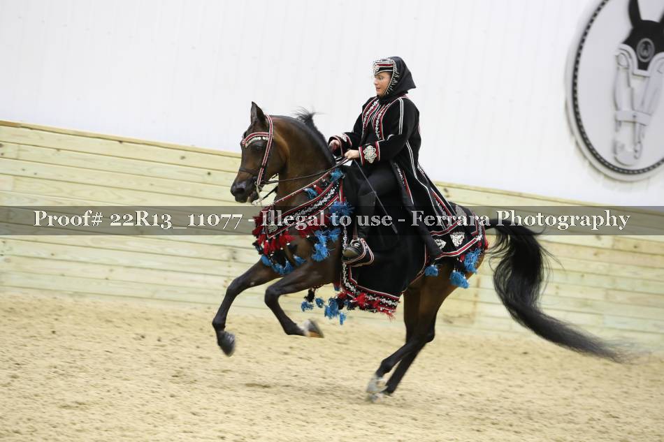 Proof 22R13_11077