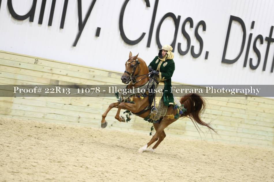 Proof 22R13_11078