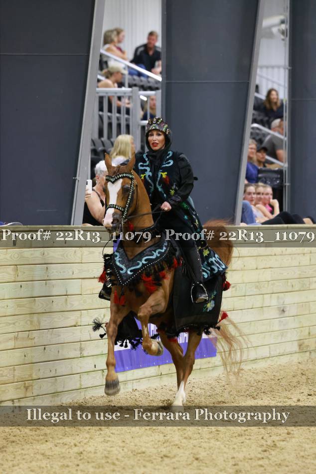Proof 22R13_11079