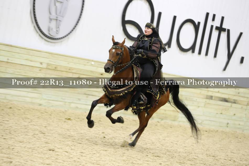 Proof 22R13_11080