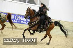 22R13_11081 proof