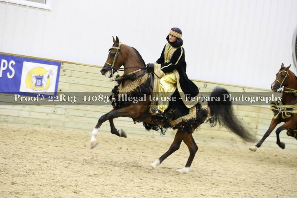 Proof 22R13_11083