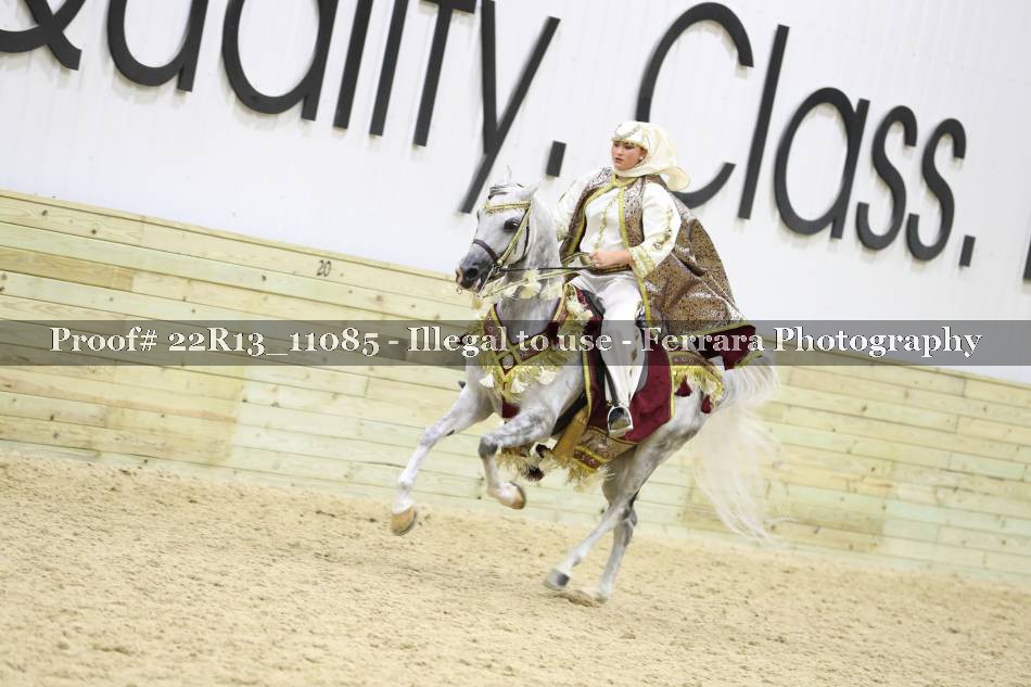 Proof 22R13_11085