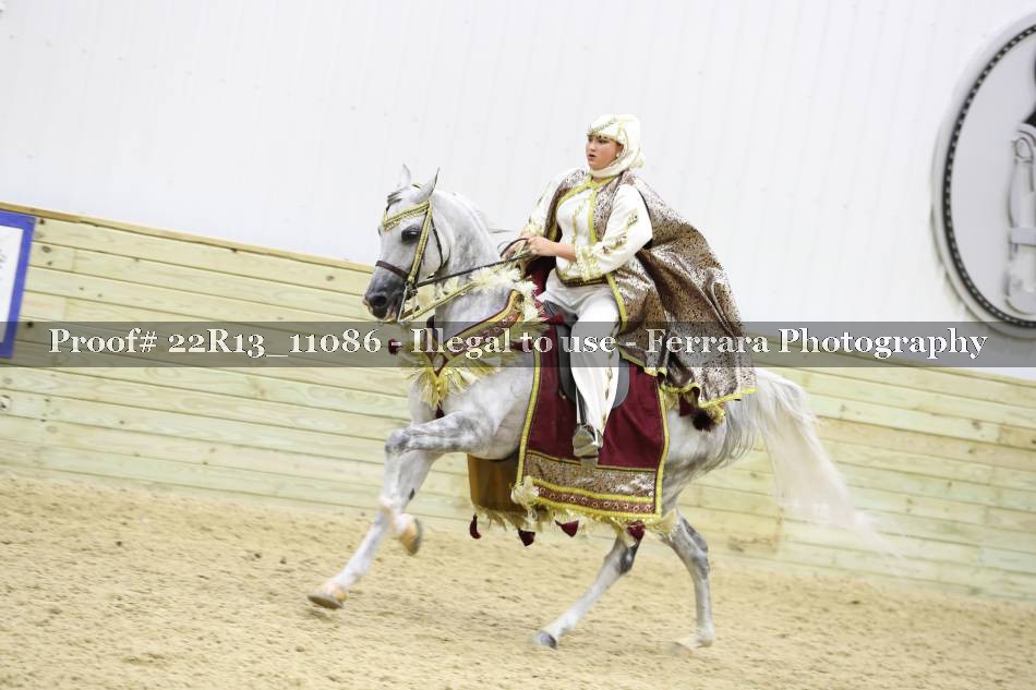 Proof 22R13_11086
