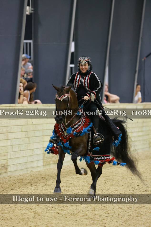 Proof 22R13_11088