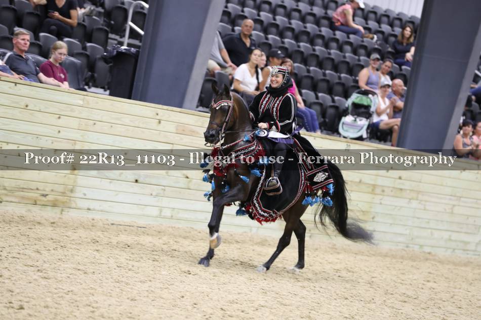 Proof 22R13_11103