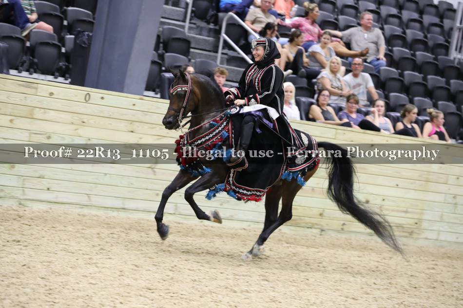 Proof 22R13_11105