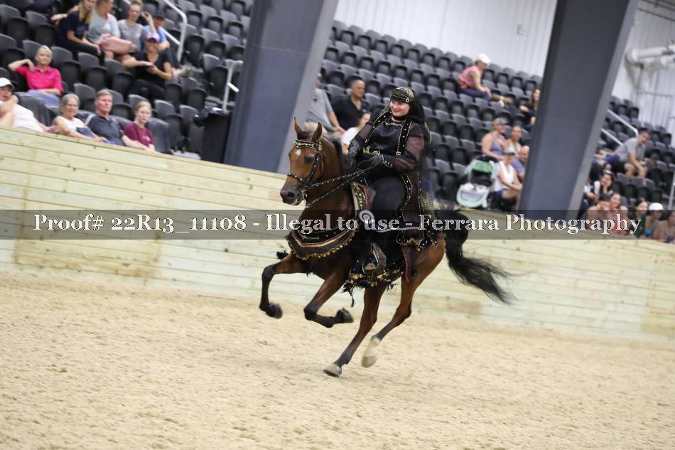Proof 22R13_11108