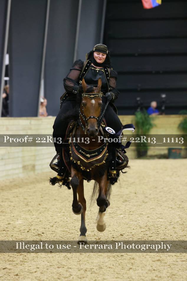 Proof 22R13_11113