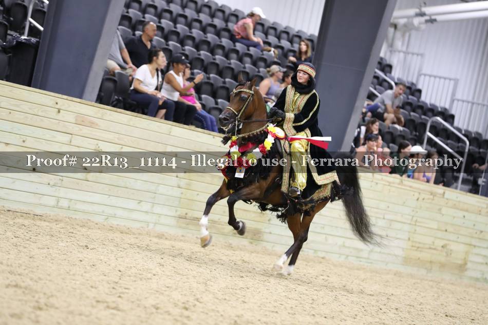 Proof 22R13_11114