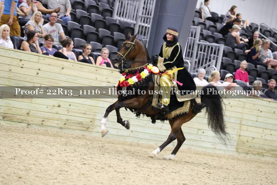 Proof 22R13_11116