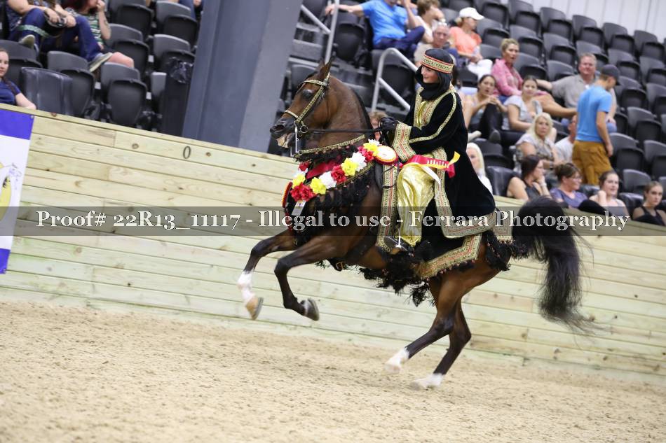 Proof 22R13_11117
