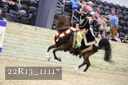 22R13_11117 proof