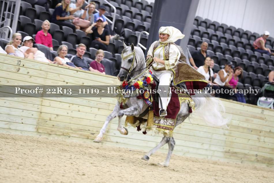 Proof 22R13_11119
