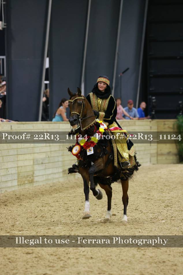 Proof 22R13_11124