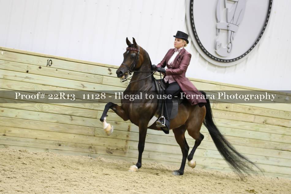 Proof 22R13_11128