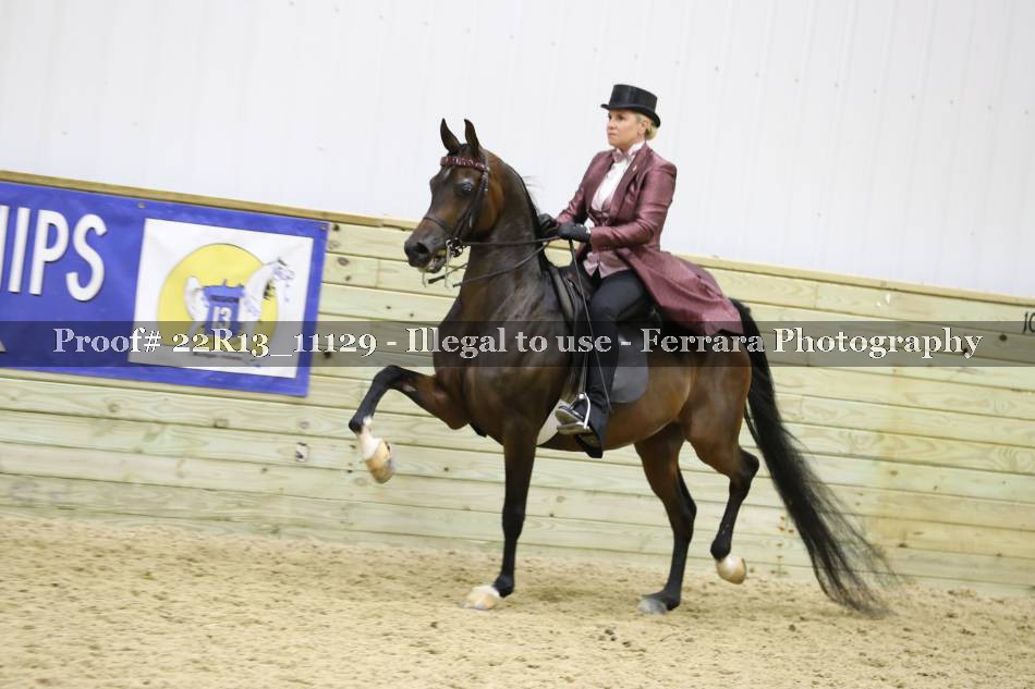 Proof 22R13_11129