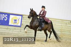 22R13_11129 proof