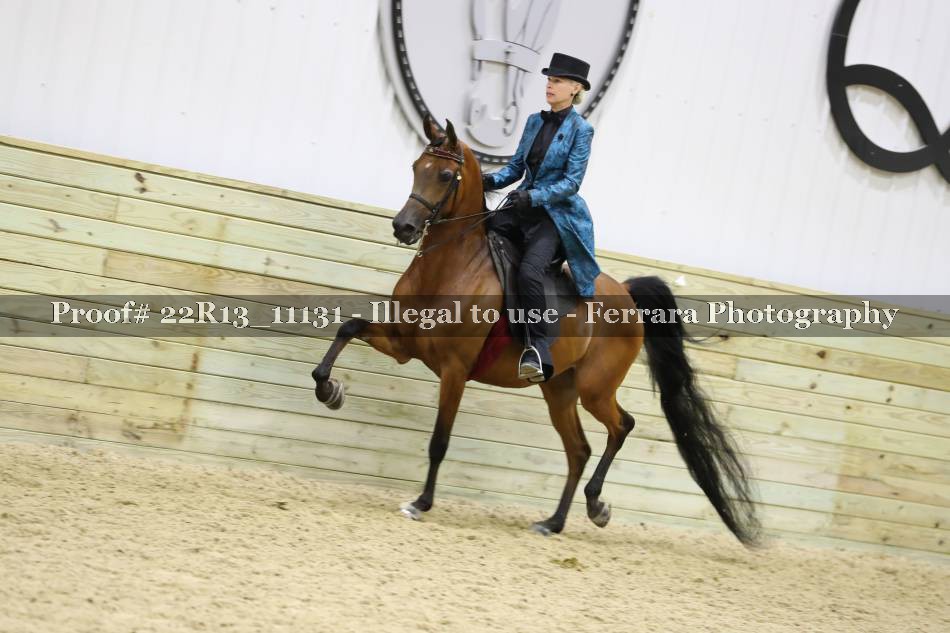 Proof 22R13_11131