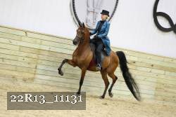 22R13_11131 proof