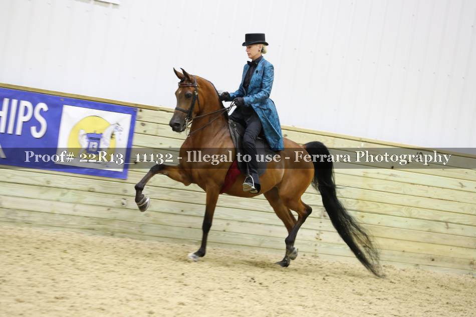 Proof 22R13_11132