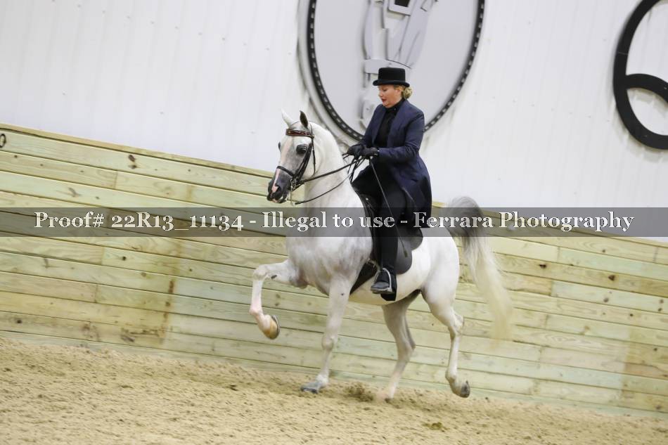 Proof 22R13_11134