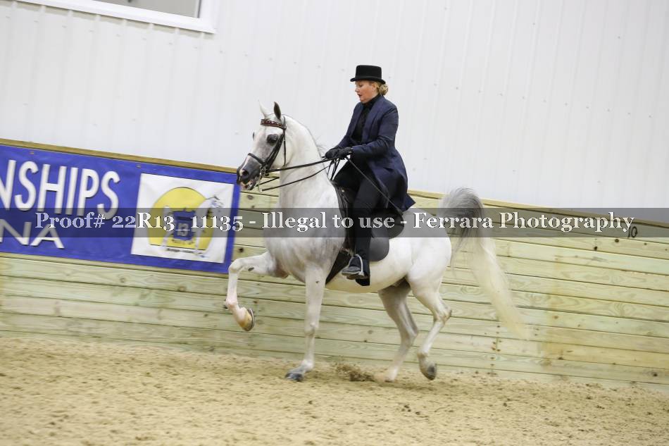 Proof 22R13_11135