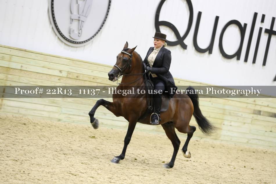Proof 22R13_11137