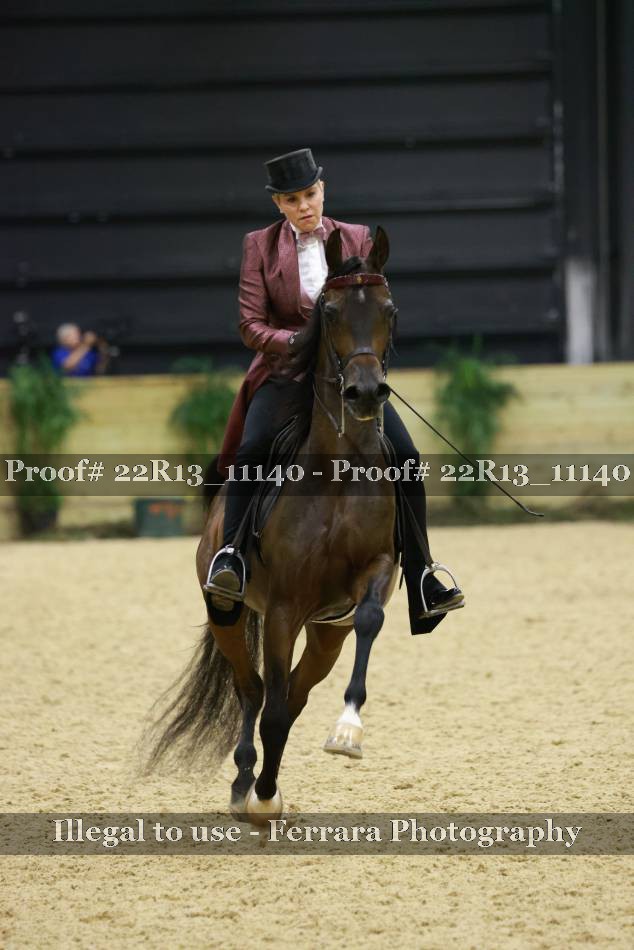 Proof 22R13_11140