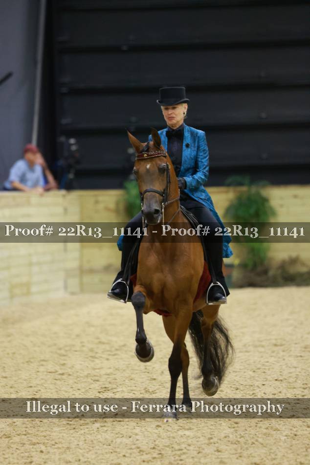 Proof 22R13_11141