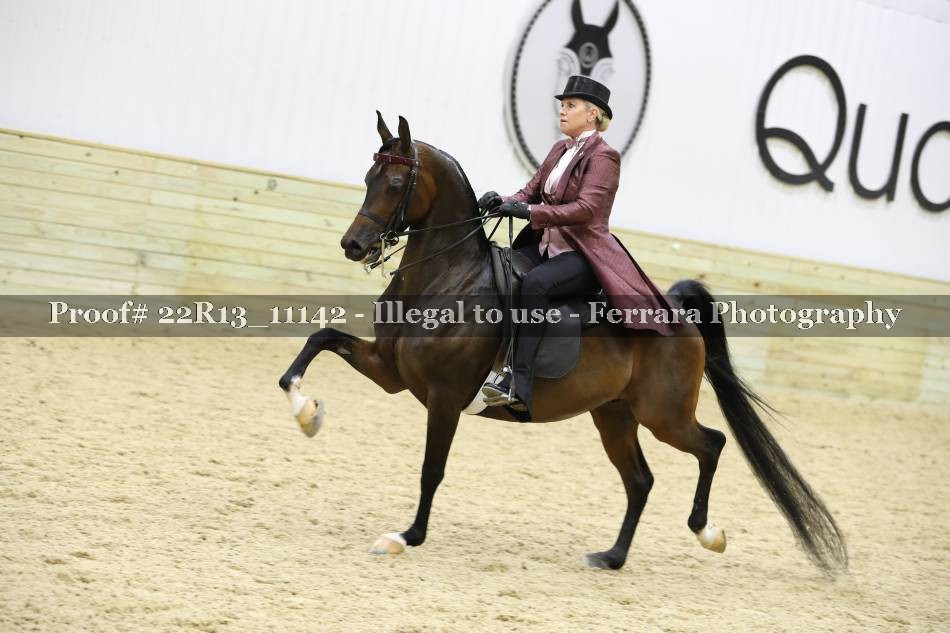Proof 22R13_11142