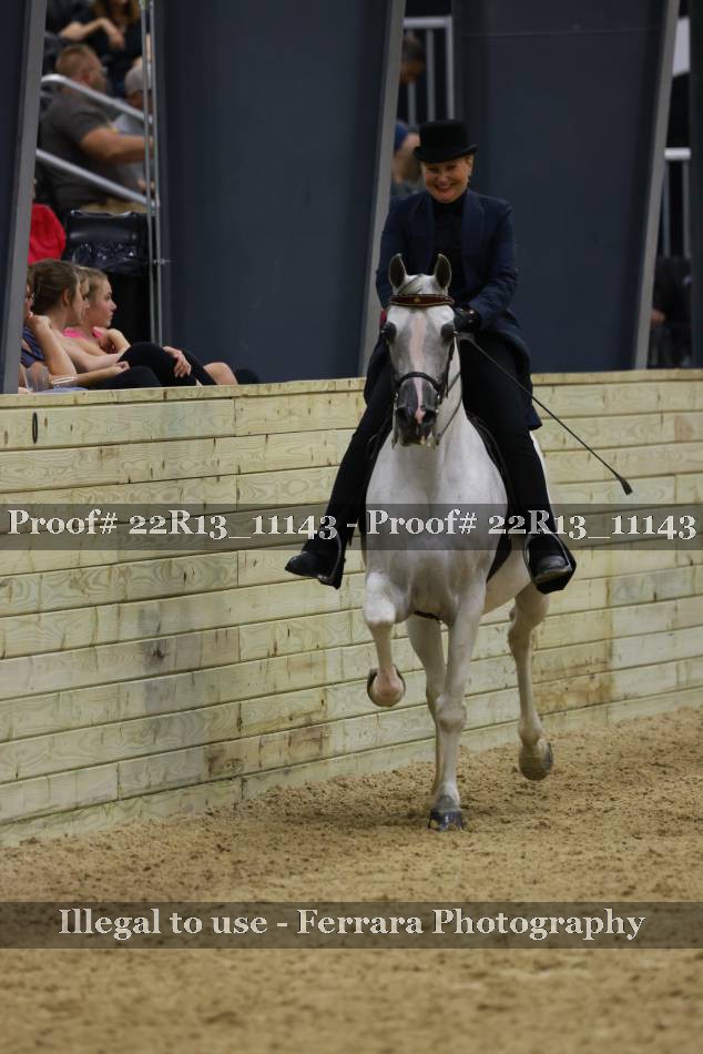 Proof 22R13_11143