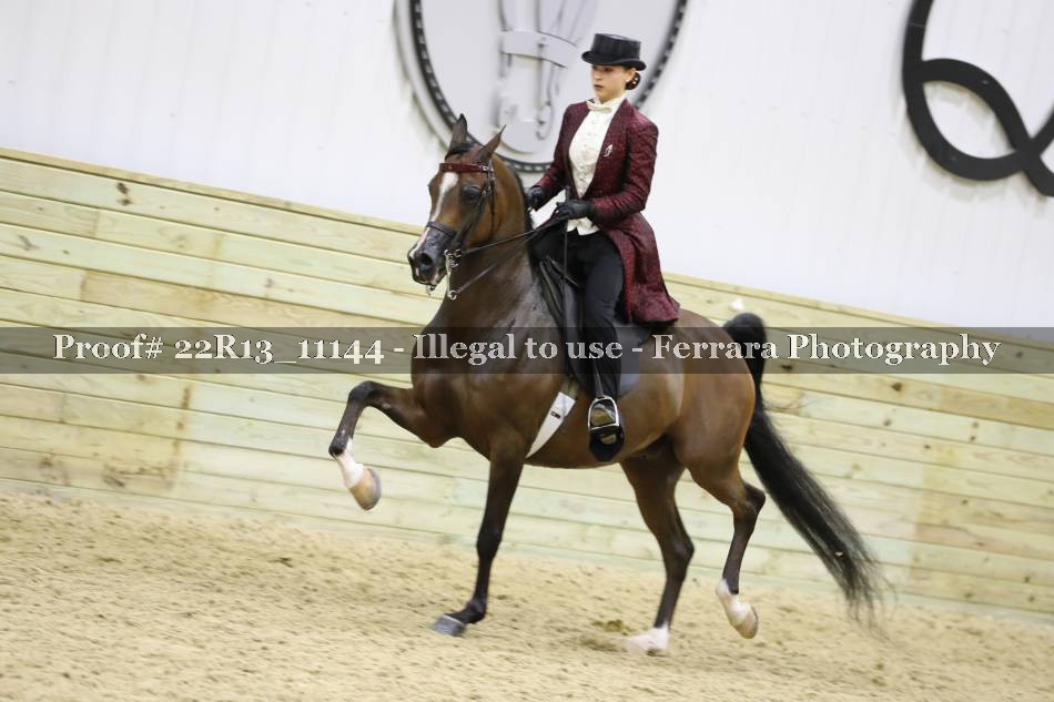 Proof 22R13_11144