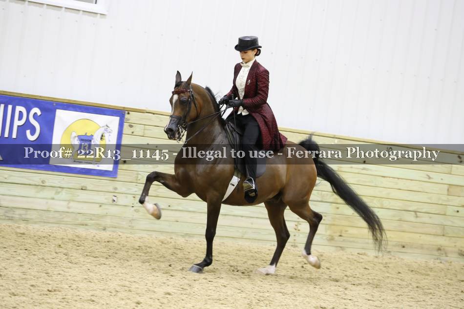 Proof 22R13_11145