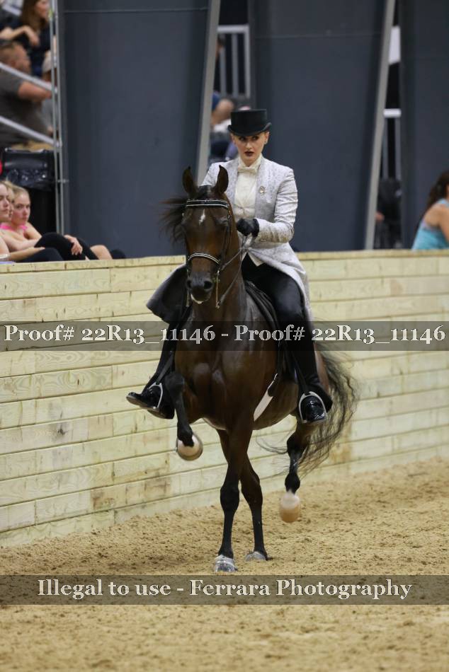 Proof 22R13_11146