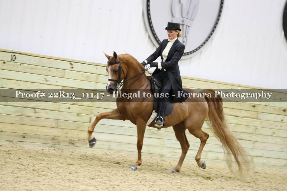 Proof 22R13_11147