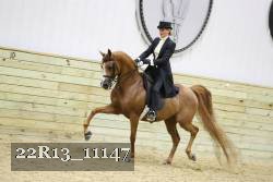 22R13_11147 proof