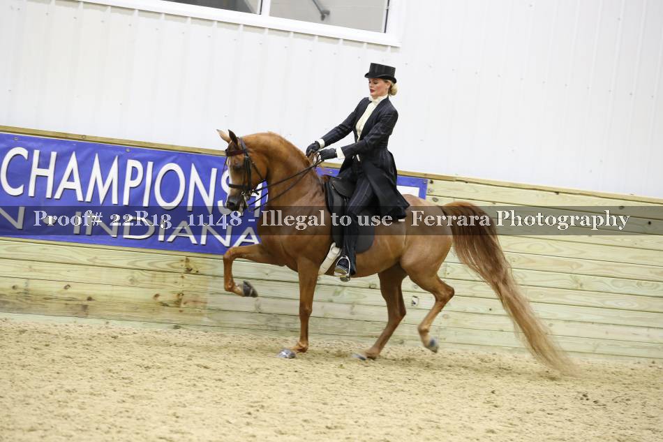 Proof 22R13_11148