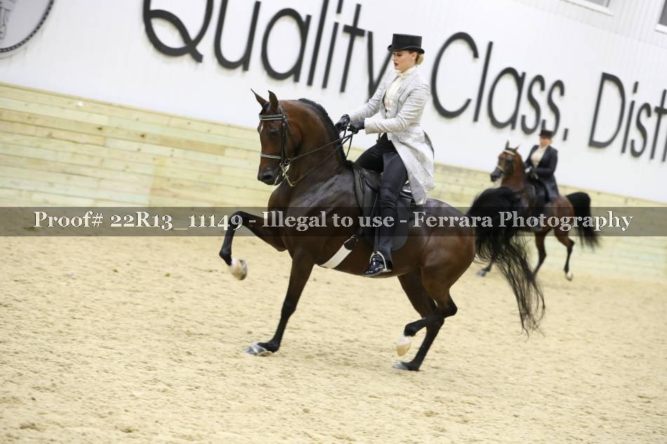 Proof 22R13_11149