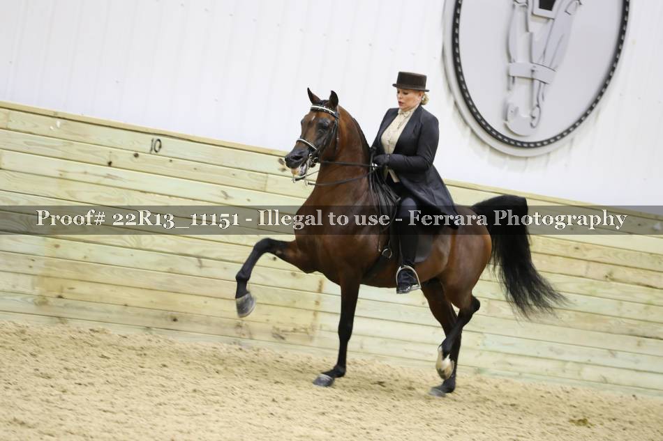 Proof 22R13_11151