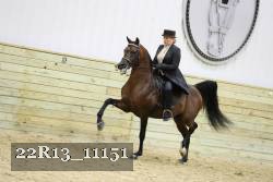 22R13_11151 proof