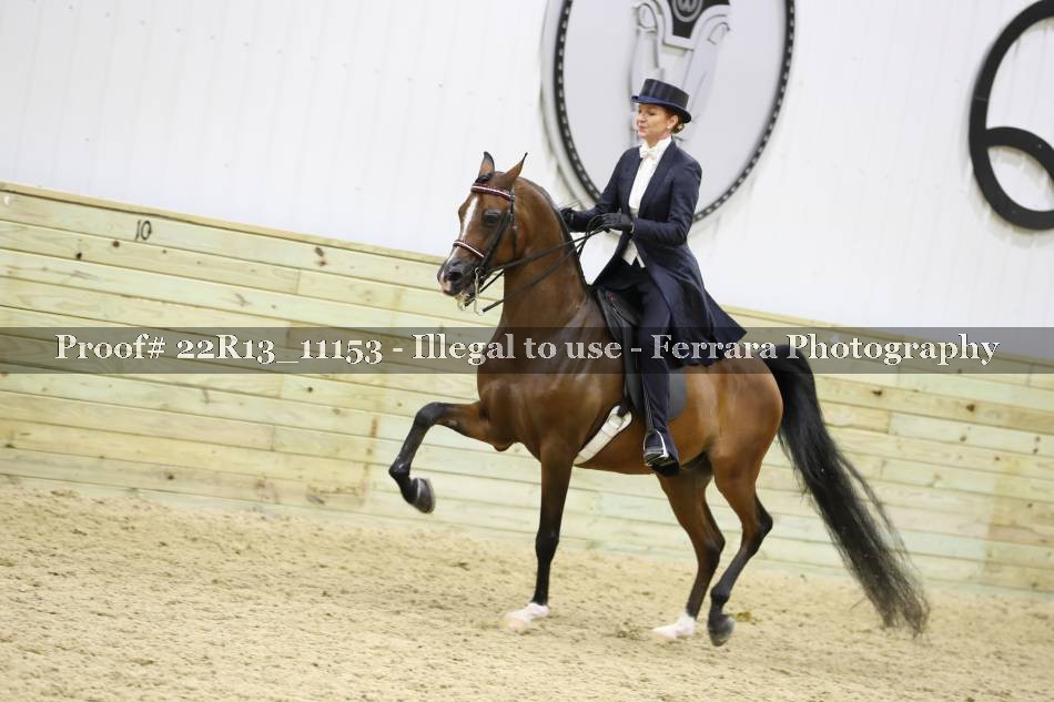 Proof 22R13_11153