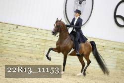 22R13_11153 proof
