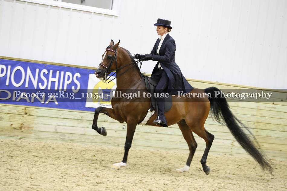 Proof 22R13_11154