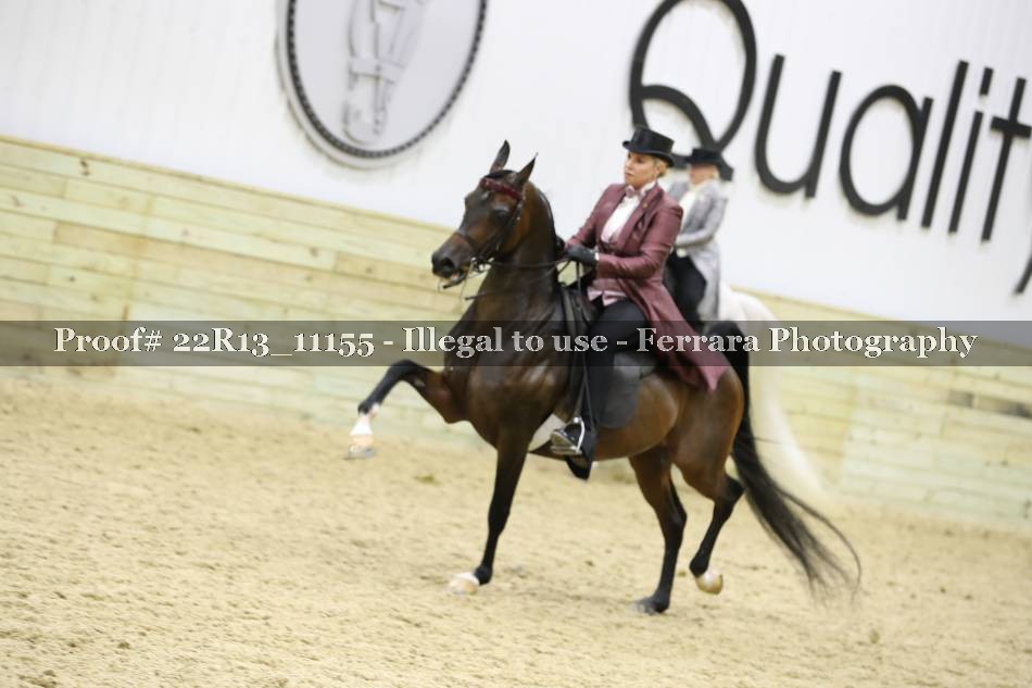 Proof 22R13_11155