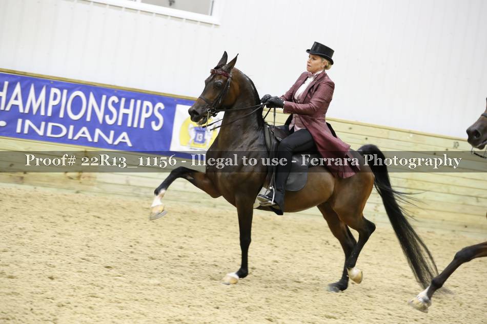 Proof 22R13_11156